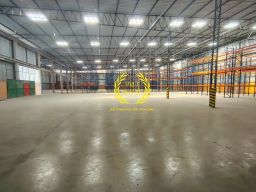 https://img.olx.com.br/thumbs256x256/17/172695202474289.jpg