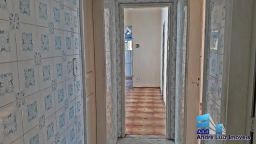 https://img.olx.com.br/thumbs256x256/17/173317460073446.jpg
