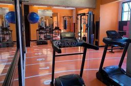 https://img.olx.com.br/thumbs256x256/17/173529272721859.jpg