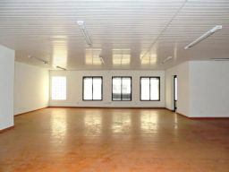 https://img.olx.com.br/thumbs256x256/17/173563407707023.jpg