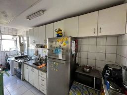 https://img.olx.com.br/thumbs256x256/17/173587526953273.jpg