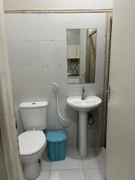 https://img.olx.com.br/thumbs256x256/17/174547631549253.jpg