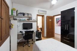 https://img.olx.com.br/thumbs256x256/17/174557528354352.jpg