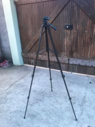 https://img.olx.com.br/thumbs256x256/17/175501741682254.jpg