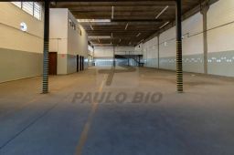 https://img.olx.com.br/thumbs256x256/17/175584522545623.jpg