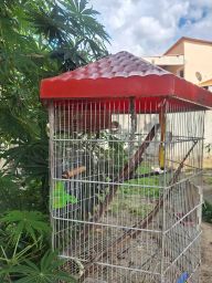 https://img.olx.com.br/thumbs256x256/17/176531281064136.jpg