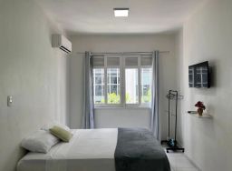 https://img.olx.com.br/thumbs256x256/17/176542756646036.jpg