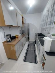 https://img.olx.com.br/thumbs256x256/17/176662538650643.jpg