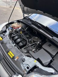 https://img.olx.com.br/thumbs256x256/17/176696097575034.jpg