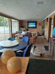 https://img.olx.com.br/thumbs256x256/17/177374744288808.jpg