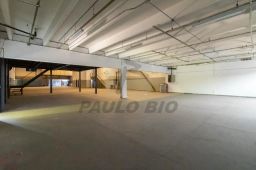 https://img.olx.com.br/thumbs256x256/17/177589881371420.jpg