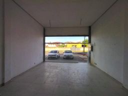 https://img.olx.com.br/thumbs256x256/17/178474651490544.jpg