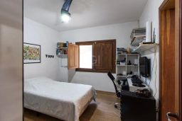 https://img.olx.com.br/thumbs256x256/17/178563647955545.jpg