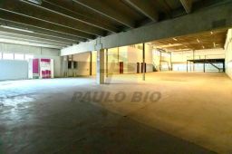 https://img.olx.com.br/thumbs256x256/17/178576045625203.jpg
