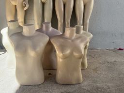 https://img.olx.com.br/thumbs256x256/17/179528765171156.jpg