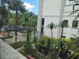 https://img.olx.com.br/thumbs256x256/17/179546527504842.jpg