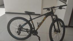 https://img.olx.com.br/thumbs256x256/18/180511155673903.jpg