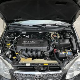 https://img.olx.com.br/thumbs256x256/18/181571275481495.jpg