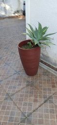 https://img.olx.com.br/thumbs256x256/18/182536162736975.jpg