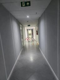 https://img.olx.com.br/thumbs256x256/18/182558638847569.jpg
