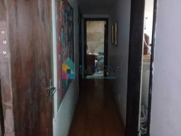 https://img.olx.com.br/thumbs256x256/18/182631804723378.jpg