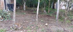 https://img.olx.com.br/thumbs256x256/18/183519514801858.jpg