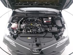 https://img.olx.com.br/thumbs256x256/18/183682326088294.jpg