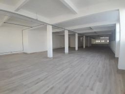 https://img.olx.com.br/thumbs256x256/18/184501393125091.jpg