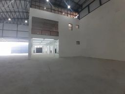 https://img.olx.com.br/thumbs256x256/18/184502751996599.jpg
