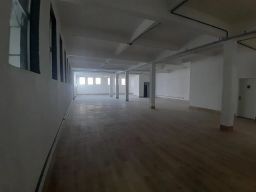 https://img.olx.com.br/thumbs256x256/18/184523631662829.jpg