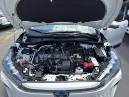 https://img.olx.com.br/thumbs256x256/18/184659695267256.jpg