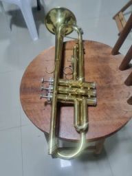 https://img.olx.com.br/thumbs256x256/18/185493769827066.jpg