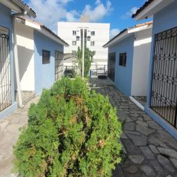 https://img.olx.com.br/thumbs256x256/18/186589524708919.jpg