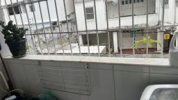 https://img.olx.com.br/thumbs256x256/18/186591521314962.jpg