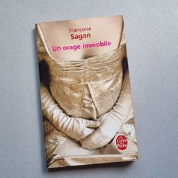 Título do anúncio: Livro em francês - Un orage immobile 