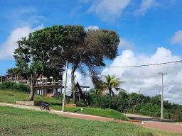 https://img.olx.com.br/thumbs256x256/18/187513158853067.jpg