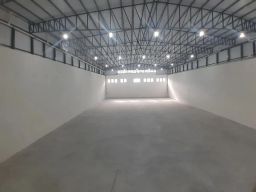 https://img.olx.com.br/thumbs256x256/18/187529753774611.jpg