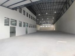 https://img.olx.com.br/thumbs256x256/18/187532755051416.jpg