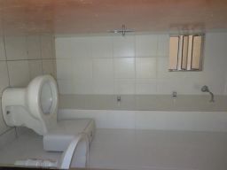 https://img.olx.com.br/thumbs256x256/18/187588158921753.jpg