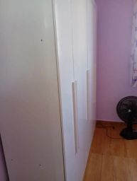 https://img.olx.com.br/thumbs256x256/18/187684687705532.jpg