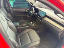 https://img.olx.com.br/thumbs256x256/18/187688674495563.jpg