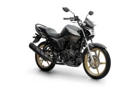 https://img.olx.com.br/thumbs256x256/18/188494234372398.jpg