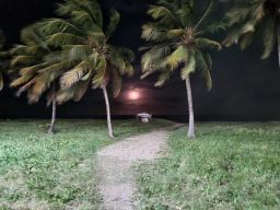 https://img.olx.com.br/thumbs256x256/18/188564867242849.jpg