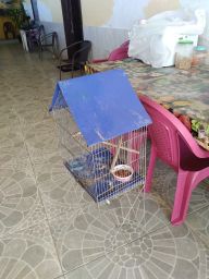 https://img.olx.com.br/thumbs256x256/18/189507638240428.jpg