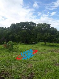 https://img.olx.com.br/thumbs256x256/19/190397442368649.jpg