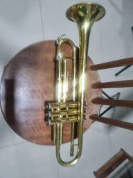 https://img.olx.com.br/thumbs256x256/19/190433045429468.jpg