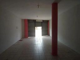 https://img.olx.com.br/thumbs256x256/19/190502889451577.jpg