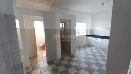https://img.olx.com.br/thumbs256x256/19/190540289205650.jpg