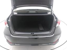 https://img.olx.com.br/thumbs256x256/19/190667449918285.jpg