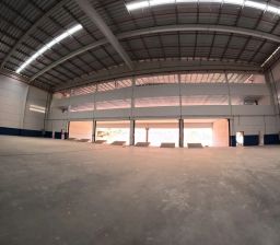 https://img.olx.com.br/thumbs256x256/19/190687547106289.jpg